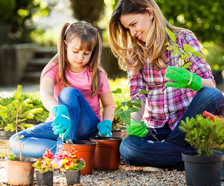 Garden Activity