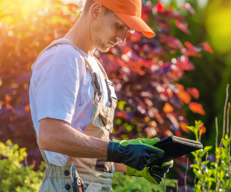Garden Activity